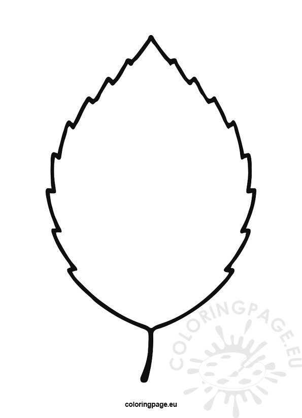 Beech leaf template printable outline in black and white for coloring and crafts