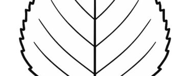 birch leaf template