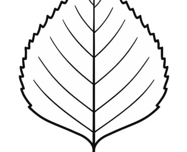 birch leaf template