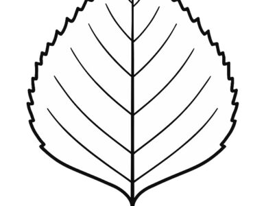 birch leaf template