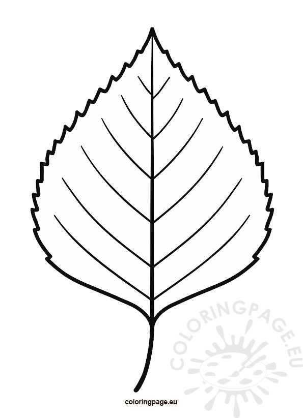 birch leaf template