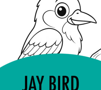 jay bird