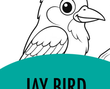 jay bird