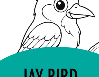 jay bird