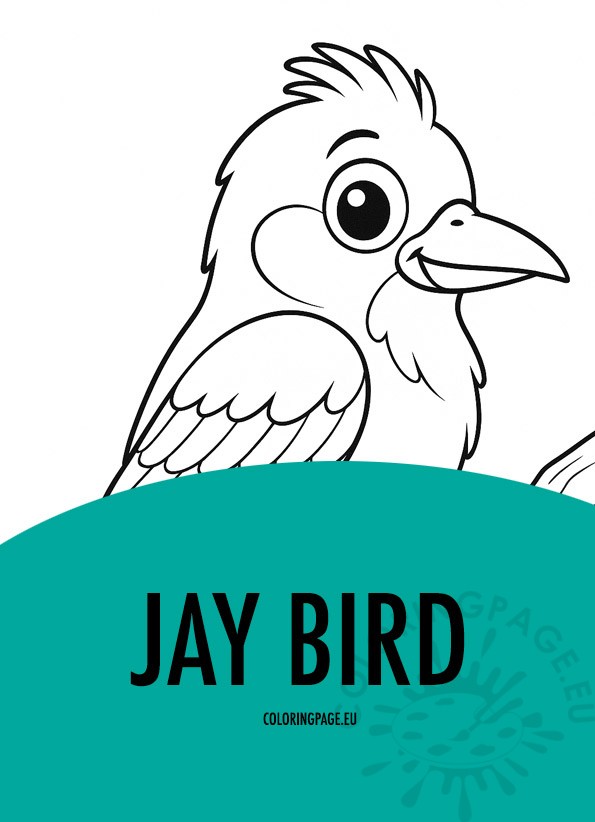 jay bird