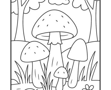 mushrooms forest