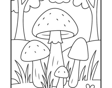 mushrooms forest