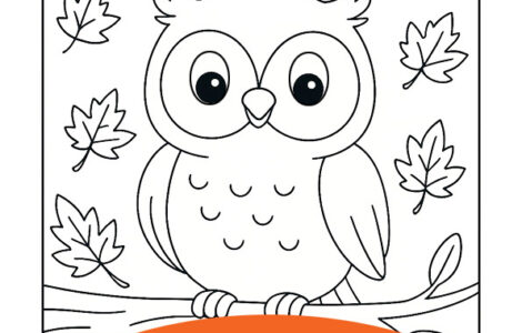 owl branch coloring page