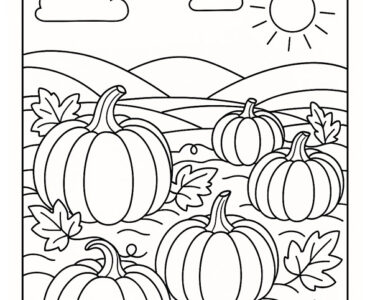 pumpkin patch in the sun