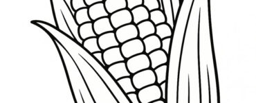 Corn on the Cob 15 corn on the cob