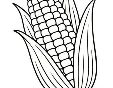 corn on the cob