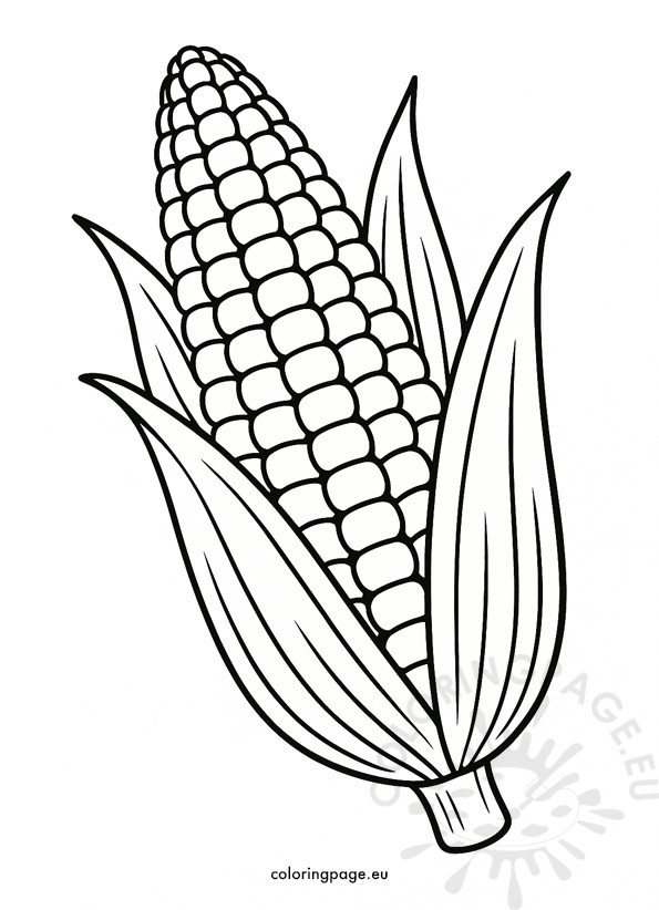 corn on the cob