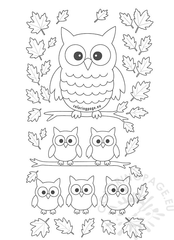 owl door decoration