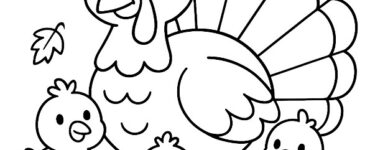 Turkey Family 17 turkey family