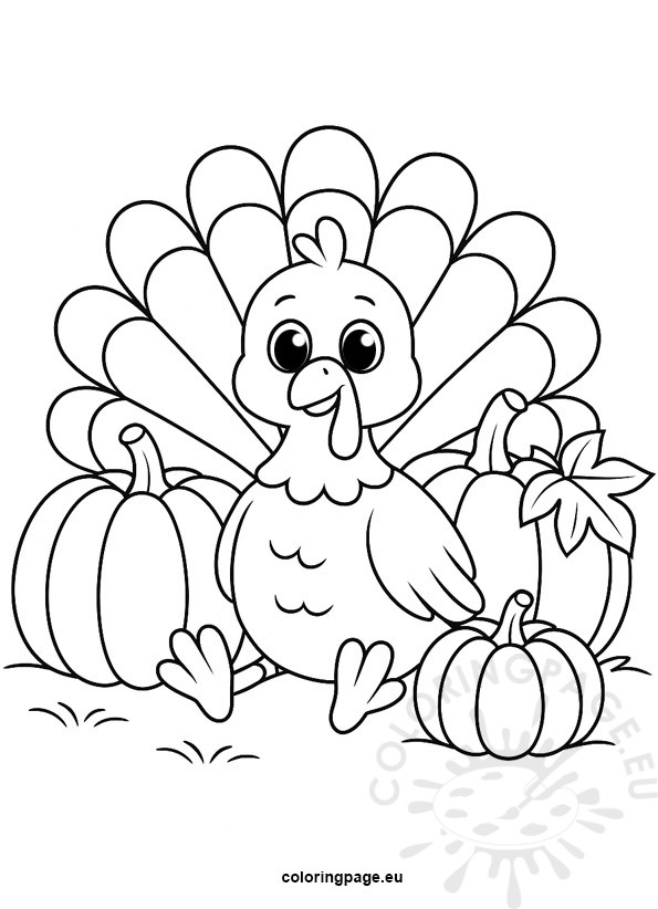 turkey with pumpkins coloring page Thanksgiving printable for kids.