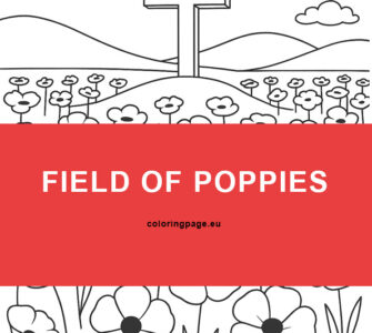 Field of Poppies 7 field of poppies