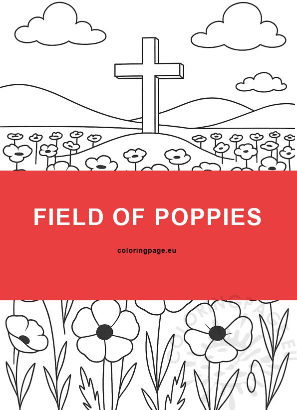 Field of Poppies 3 field of poppies