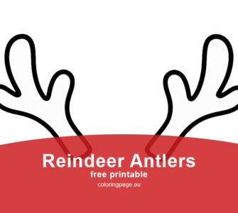 reindeer antlers