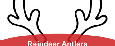 reindeer antlers