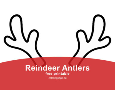 reindeer antlers