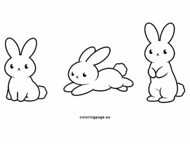 rabbit poses