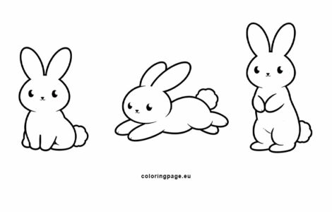 rabbit poses