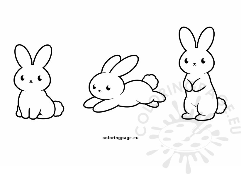 rabbit poses