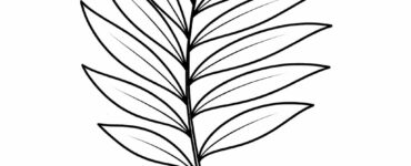 simple palm leaves