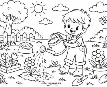 watering plants in the garden