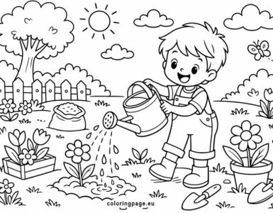 watering plants in the garden