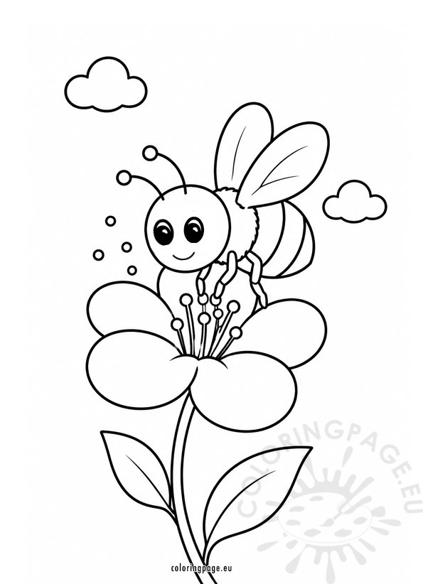 bee pollination