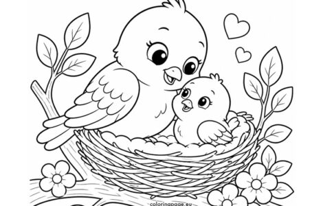 mother and baby birds