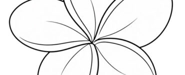 plumeria