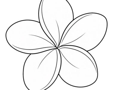 plumeria