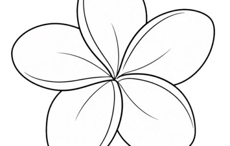 Plumeria coloring page 4 plumeria