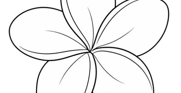 plumeria