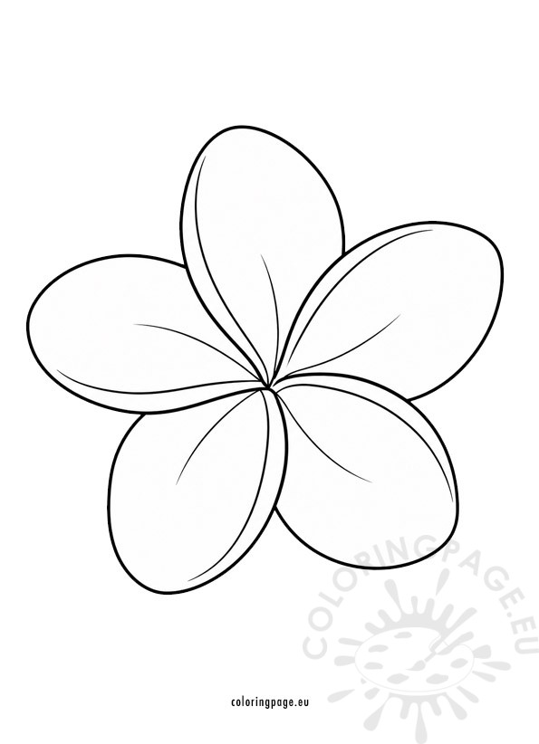 Plumeria coloring page 3 plumeria