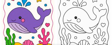 cute whale copy the colors