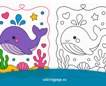 cute whale copy the colors