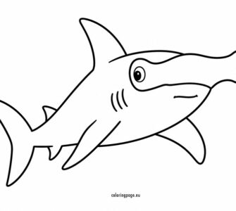 hammerhead shark