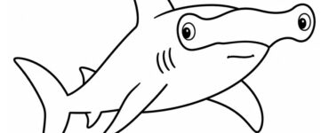 hammerhead shark