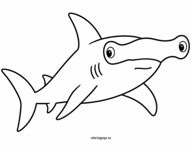 hammerhead shark