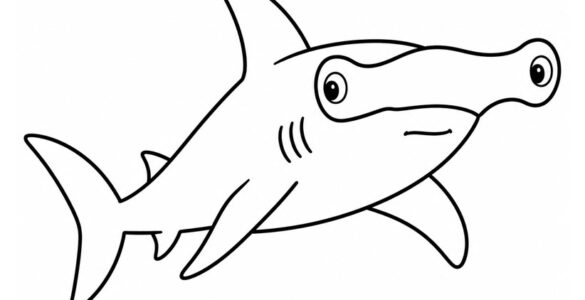 hammerhead shark