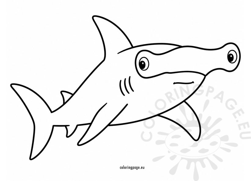 hammerhead shark