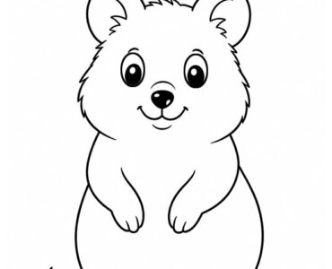 quokka