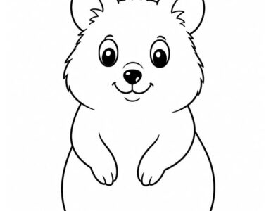 quokka