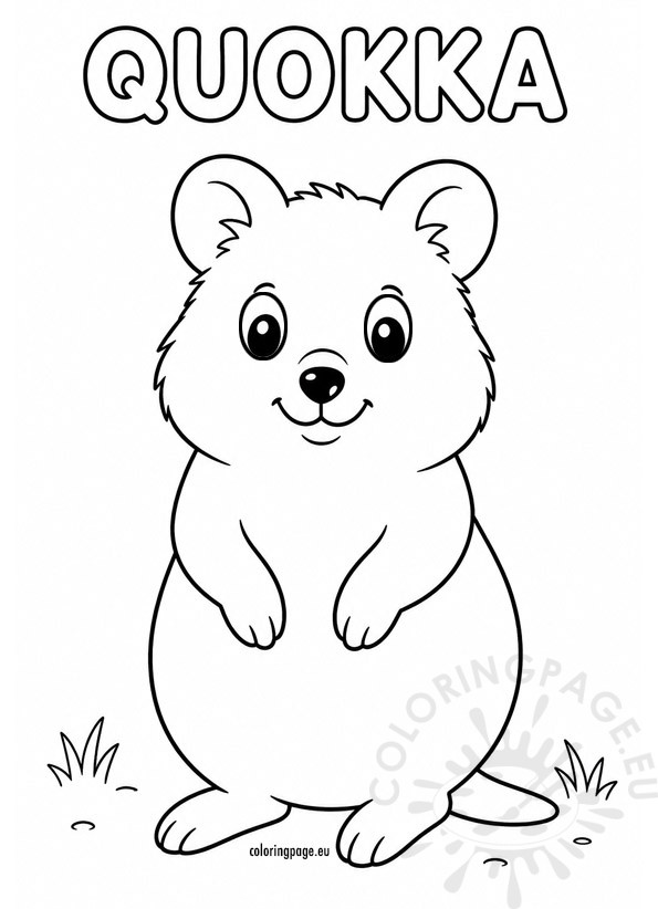 quokka