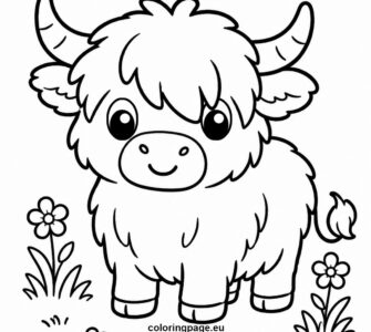 highland cow coloring page