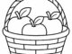 apple basket coloring
