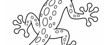 gecko printable